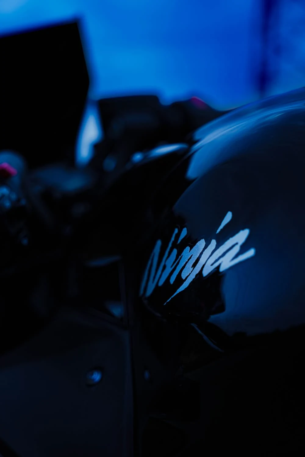 Détail du logo « Ninja » sur le carénage.